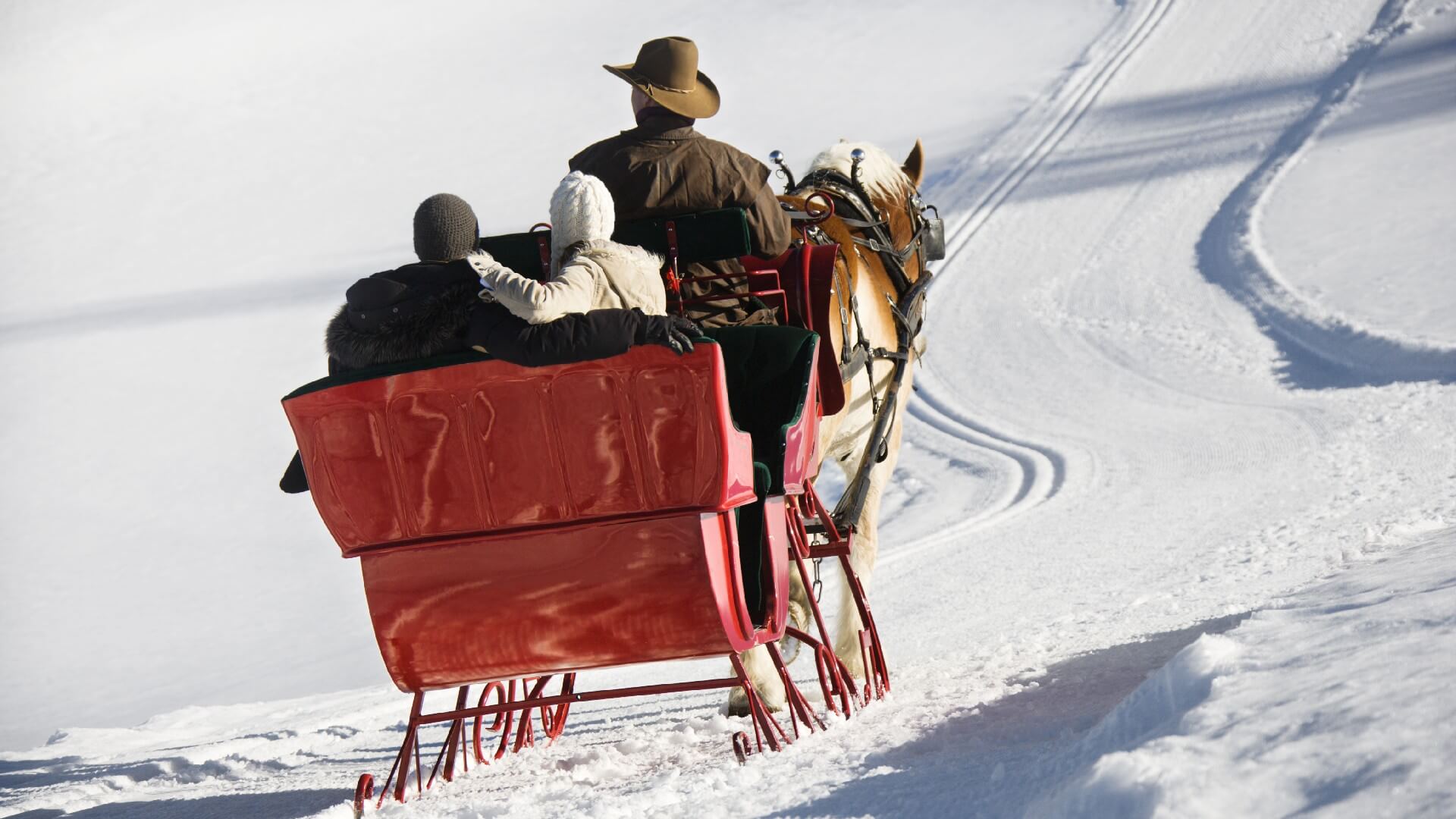 a couple takes a horse-drawn sleigh ride