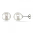 White South Sea Pearl Stud Earrings 14k White Gold 10-11mm