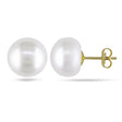 Cultured Freshwater White Pearl Stud Earrings 14k Yellow Gold 10-11mm