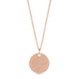 March Birth Flower Daffodil Disc Pendant Necklace 14K Rose Gold