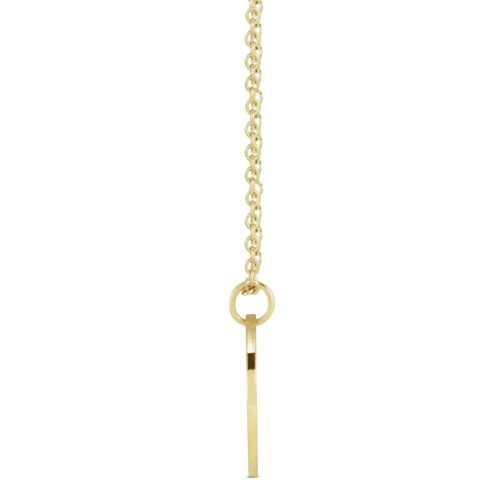 February Birth Flower Violet Disc Pendant Necklace Vermeil