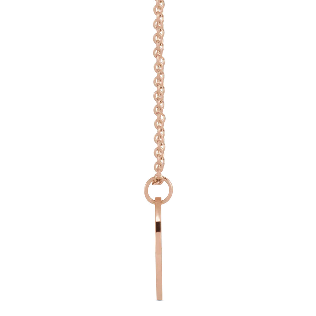 February Birth Flower Violet Disc Pendant Necklace 14K Rose Gold