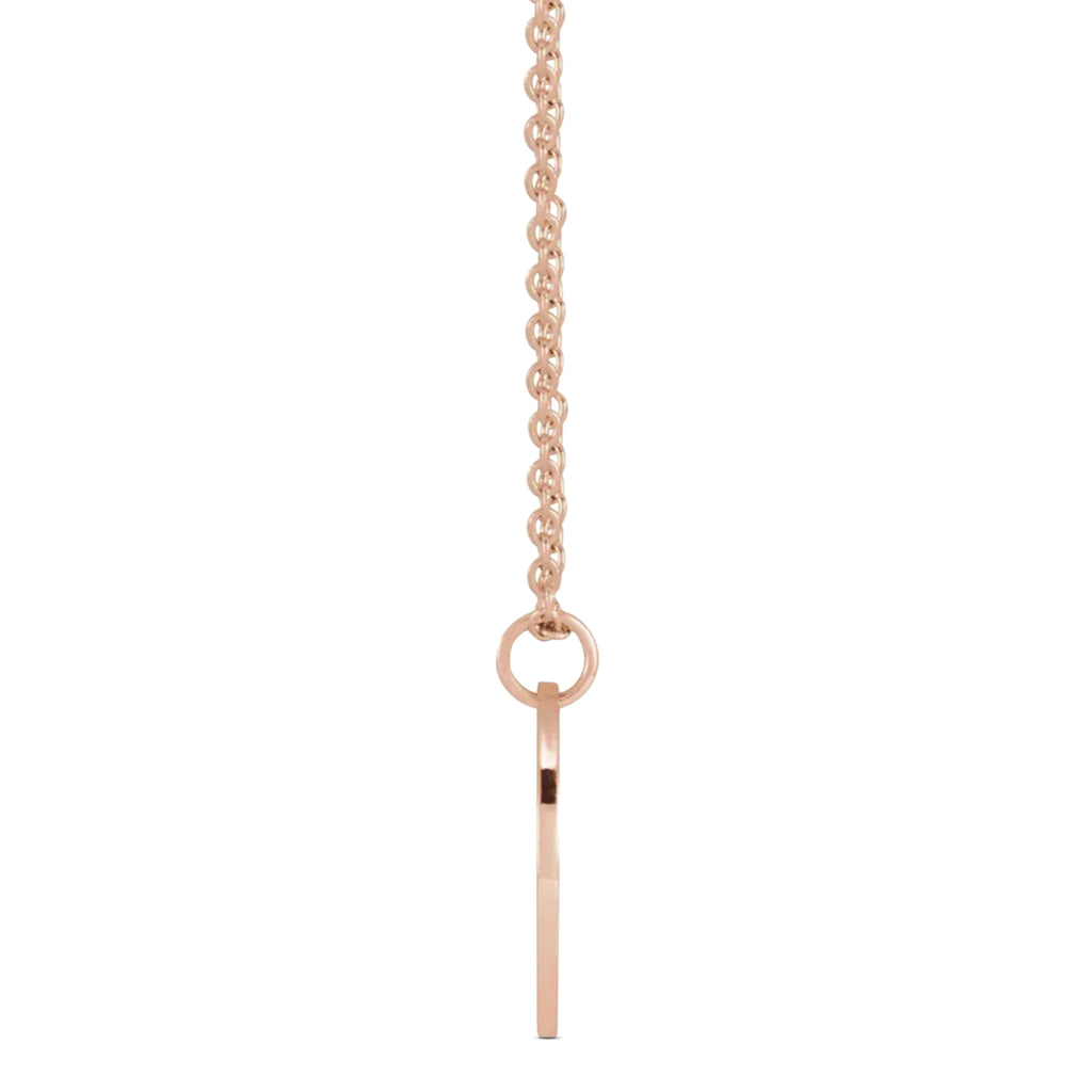 January Birth Flower Snow Drop Disc Pendant Necklace 14K Rose Gold