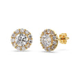 2.00ct. Halo Lab Diamond Stud Earrings 14kt Yellow Gold (G-H, SI1)